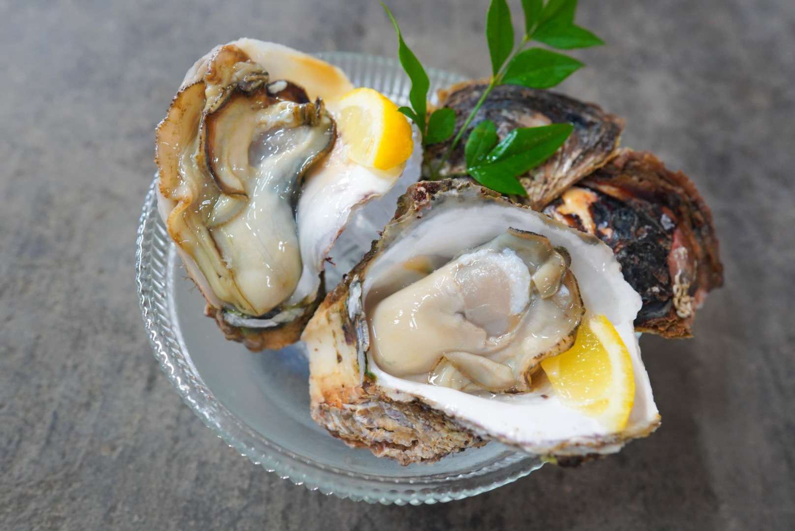 太良町の牡蠣小屋で岩牡蠣が食べれます！
