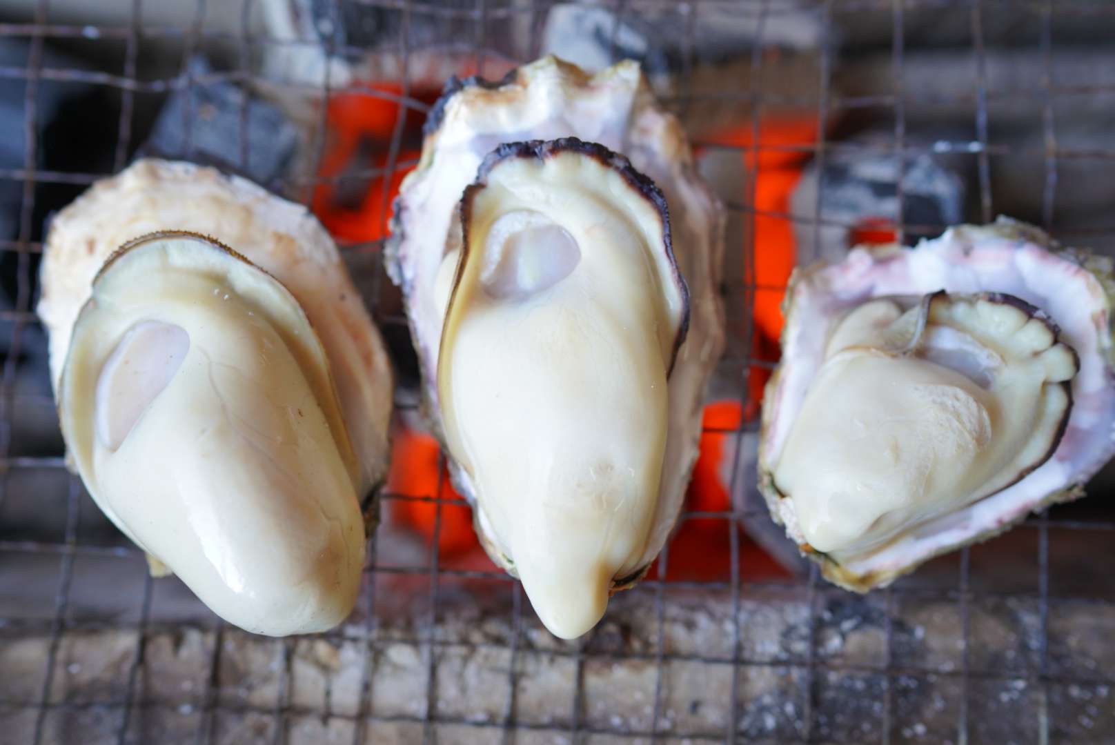竹崎かきは太良町の牡蠣小屋で一番人気