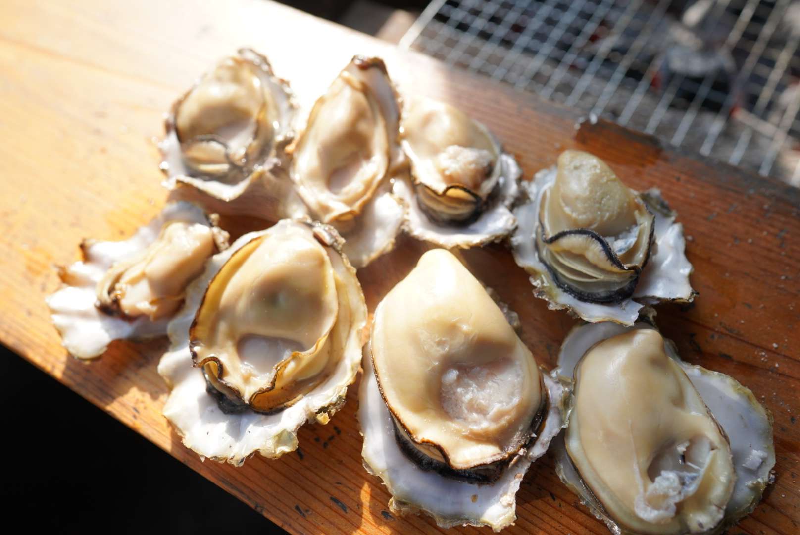 佐賀県太良町の竹崎牡蠣は日本一