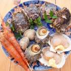 新年明けましておめでとうございます