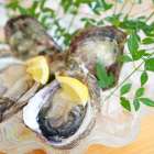 夏は佐賀で生岩牡蠣を食べよう！